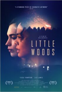 دانلود فیلم Little Woods 201822292-931347893