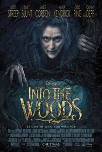 دانلود فیلم Into the Woods 20143675-1216787999