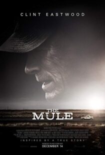 دانلود فیلم The Mule 201819828-1383654997