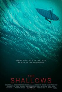 دانلود فیلم The Shallows 20166608-1213361330