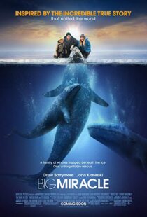 دانلود فیلم Big Miracle 201218814-1002135469