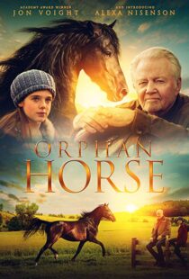 دانلود فیلم Orphan Horse 20188125-2016632516