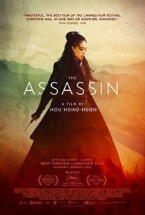 دانلود فیلم The Assassin 201513760-439492844