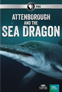 دانلود مستند Attenborough and the Sea Dragon 20188753-875371158