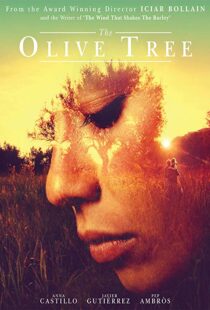 دانلود فیلم The Olive Tree 201615934-51710081