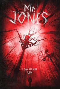 دانلود فیلم Mr. Jones 201337611-251197260