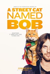 دانلود فیلم A Street Cat Named Bob 201641621-802439113