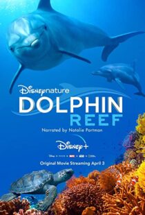 دانلود مستند Dolphin Reef 201838724-1829200474