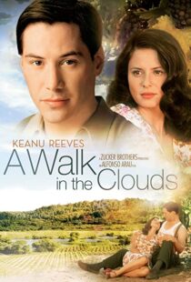 دانلود فیلم A Walk in the Clouds 199553815-1557885937