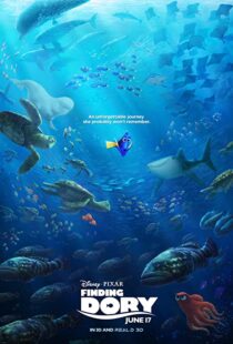 دانلود انیمیشن Finding Dory 201658678-1969021084