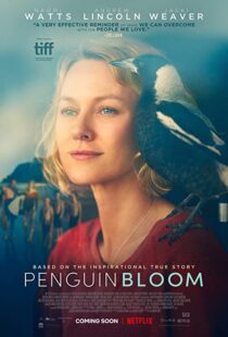 دانلود فیلم Penguin Bloom 202073302-1549217819