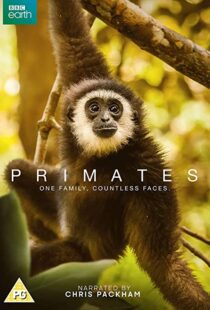 دانلود مستند Primates77865-719110368