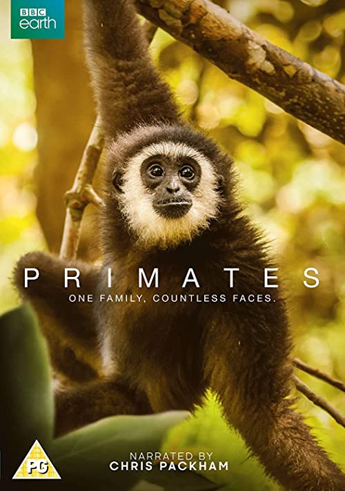 دانلود مستند Primates