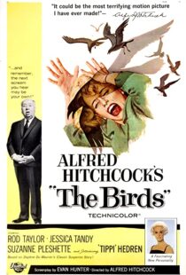 دانلود فیلم The Birds 196382372-2146843467