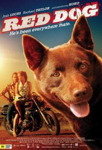 دانلود فیلم Red Dog 201187414-1111841483