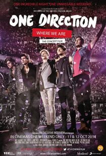 دانلود مستند One Direction: Where We Are – The Concert Film 2014100436-550995775