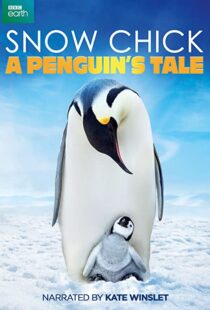 دانلود مستند Snow Chick: A Penguin’s Tale 2015109604-1507458868