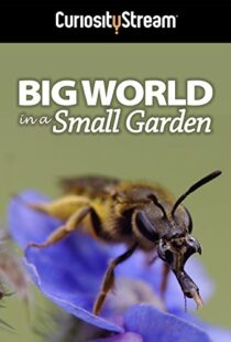 دانلود مستند Big World in a Small Garden 2016102965-810718524