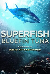 دانلود مستند Superfish Bluefin Tuna 2012101607-974541332