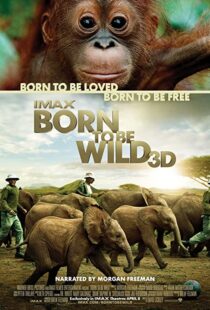 دانلود مستند Born to Be Wild 2011110503-261373248