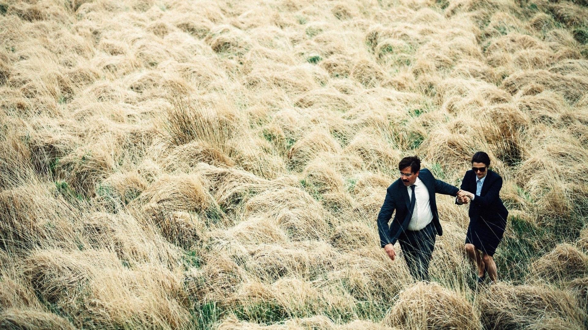 دانلود فیلم The Lobster 2015