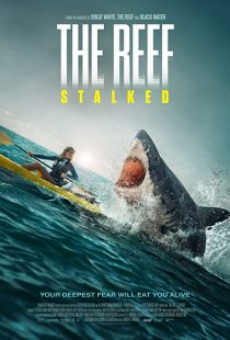 دانلود فیلم The Reef: Stalked 2022234702-1773949395