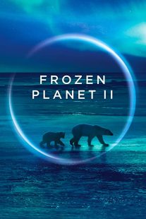 دانلود مستند Frozen Planet II268784-988964047