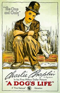 دانلود فیلم A Dog’s Life 1918270674-2058725245