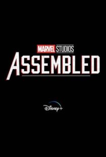 دانلود سریال Marvel Studios: Assembled100150-315151551