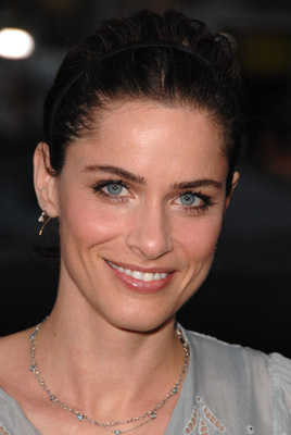 Amanda Peet