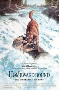 دانلود فیلم Homeward Bound: The Incredible Journey 1993371118-1031205605