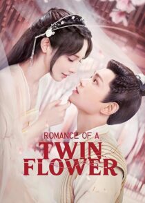 دانلود سریال Romance of a Twin Flower379211-1853632760