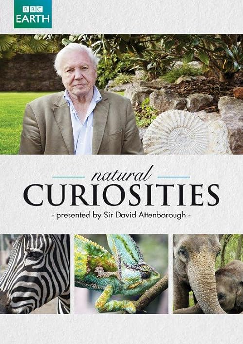 دانلود سریال Natural Curiosities