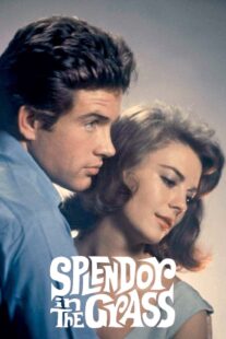 دانلود فیلم Splendor in the Grass 1961382554-1708434241