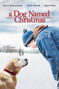 دانلود فیلم A Dog Named Christmas 2009389298-1729113267