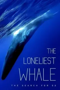 دانلود فیلم The Loneliest Whale: The Search for 52 2021403098-642935819