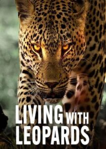 دانلود مستند Living with Leopards 2024400477-2142348021