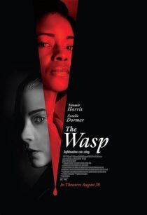 دانلود فیلم The Wasp 2024411027-1298948595