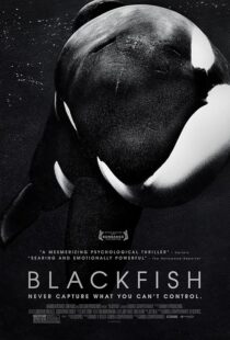 دانلود فیلم Blackfish 2013412328-882114735