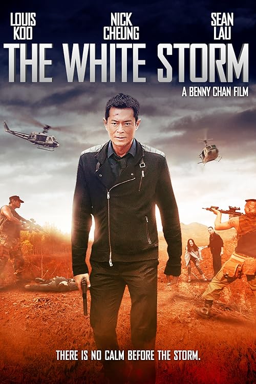 دانلود فیلم The White Storm 2013