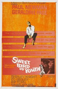 دانلود فیلم Sweet Bird of Youth 1962415738-175513446