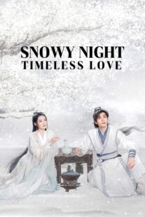 دانلود سریال Snowy Night Timeless Love417168-1197492388