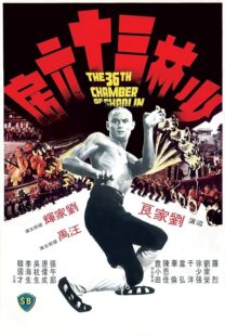 دانلود فیلم The 36th Chamber of Shaolin 1978418237-399424614