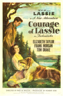 دانلود فیلم Courage of Lassie 1946417427-2021083899