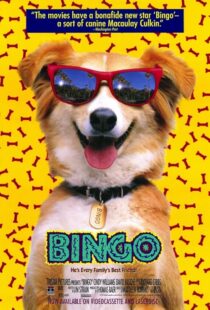 دانلود فیلم Bingo 1991417459-2032451092