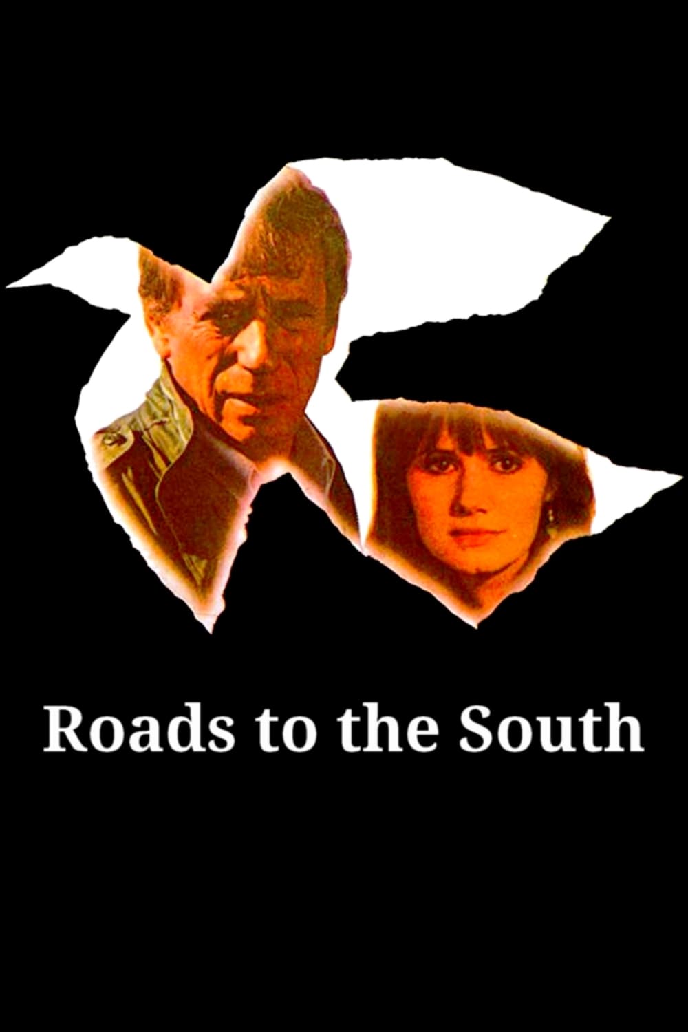 دانلود فیلم Roads to the South 1978